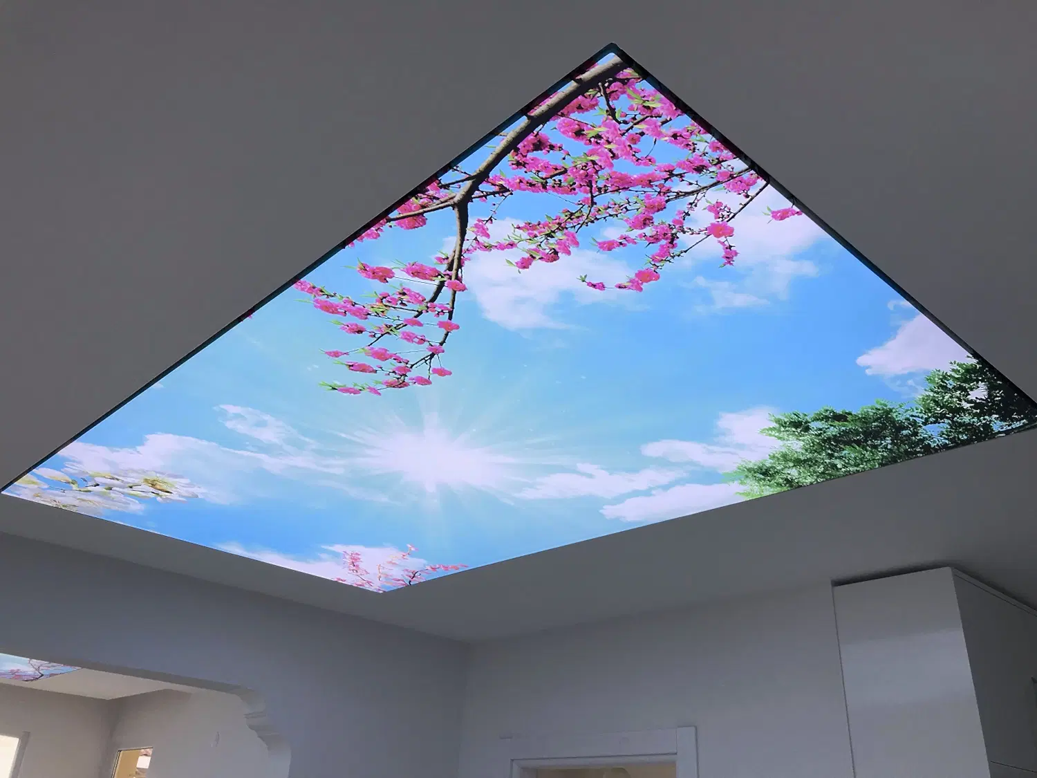 Barisol – Lake Tavan